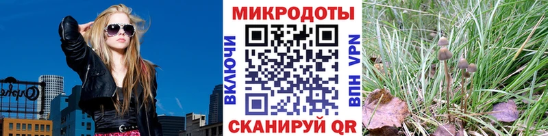 Купить где  Санкт-Петербург  Псилоцибиновые грибы ЛСД 